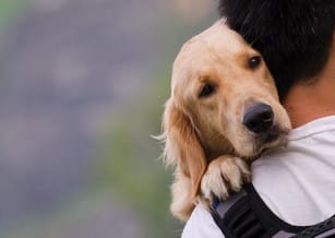 フランスで犬を背負った男性。