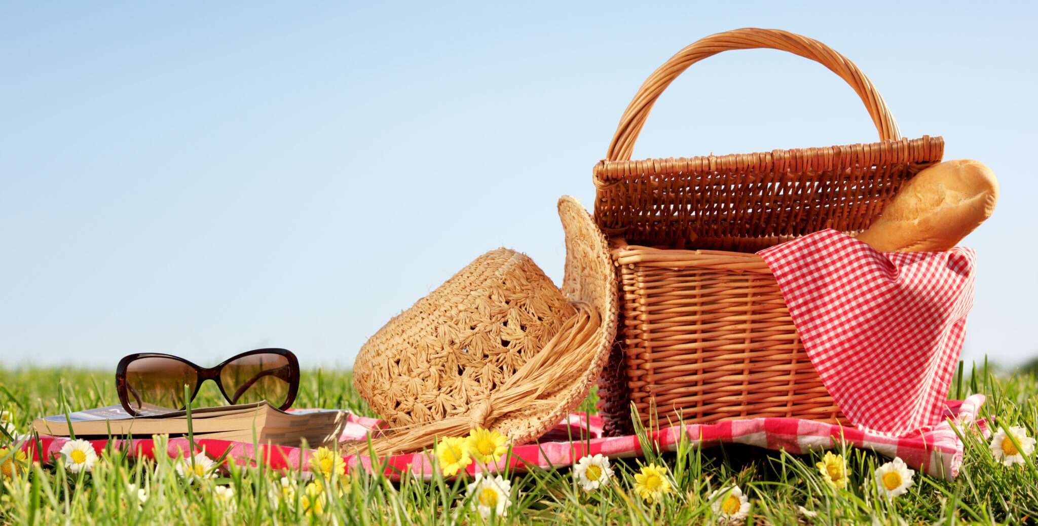 草原のハーブのような牧草地。