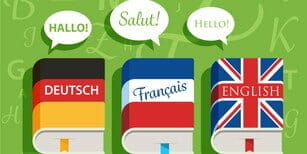 英語、フランス語、フランスという単語が入った本のセット。