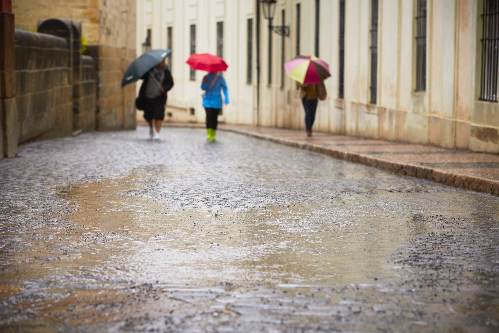 フランスの濡れた道を傘をさして歩く二人。