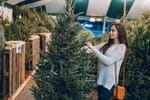 フランスの店で女性がクリスマスツリーを選んでいます。

使用キーワード: フランス (フランス)