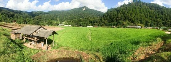 フランスの小屋を背景にした田んぼの景色。