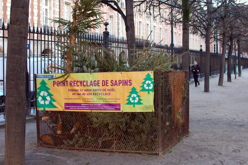 フランスにある、木が植えられた道路脇の標識。