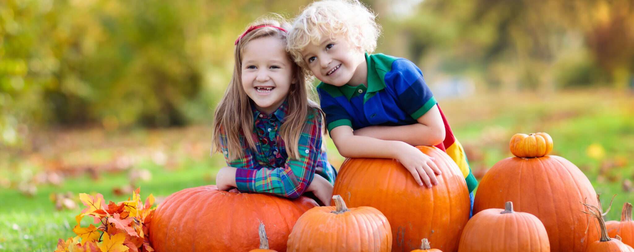 フランスの畑でカボチャと一緒にポーズをとる 2 人の子供。