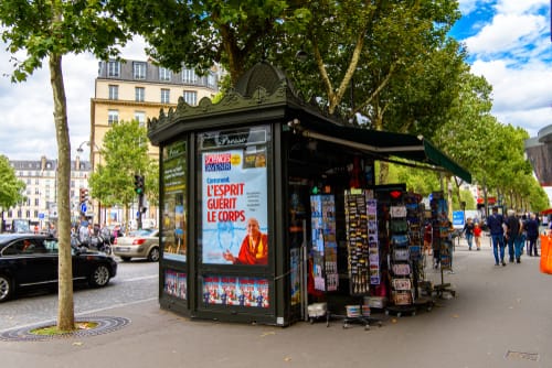 フランスの通りの脇にある木。