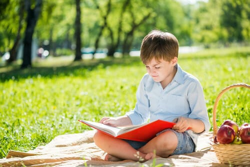 フランスで少年が草の上に座って本を読んでいます。