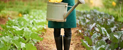 フランス庭園でじょうろを持った緑のエプロンを着た女性。