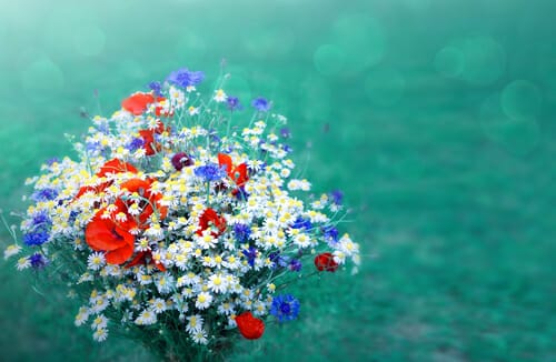 フランスの野原にある花束。