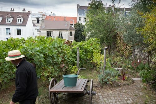 フランスの庭園を歩く帽子をかぶった男性。