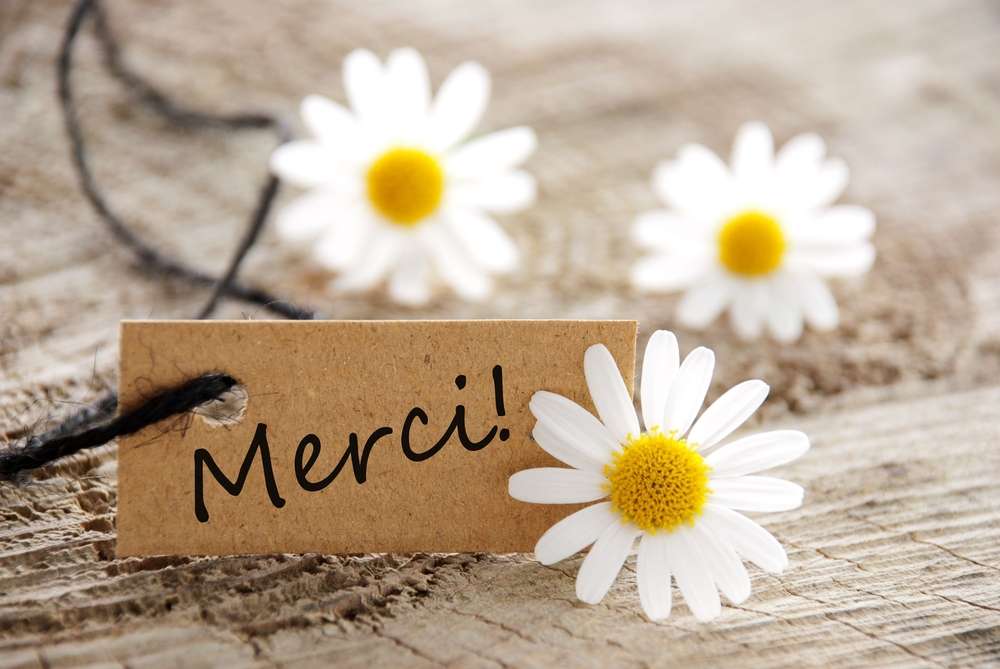 フランス風のスタイルで紙に「merci」と書かれた 3 つのヒナギク。