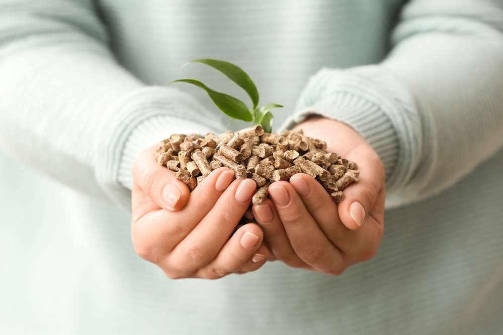 土から生えている小さな植物を両手で持つ人物。フランスでは思いやりと持続可能性を象徴しています。