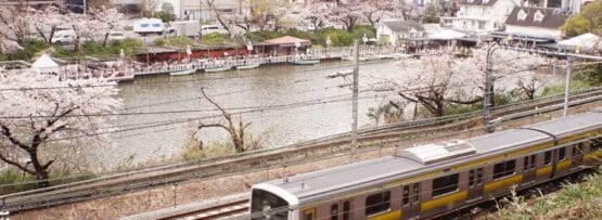 電車は飯田橋近くの都会の建物に囲まれ、桜が満開の川沿いの線路を走ります。そこではフランス語教室マンツーマンが文化的なタペストリーを加えています。.