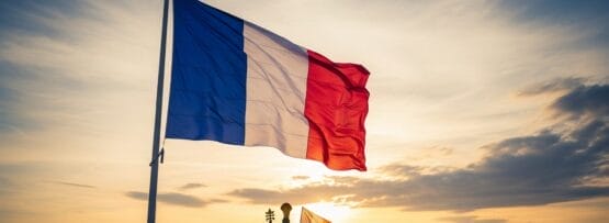 日没時に、小さなフランス国旗を掲げる群衆の上に大きなフランス国旗がはためいており、背景にはエッフェル塔が見える。.